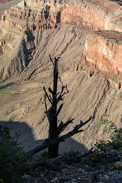 GrandCanyon5D-102