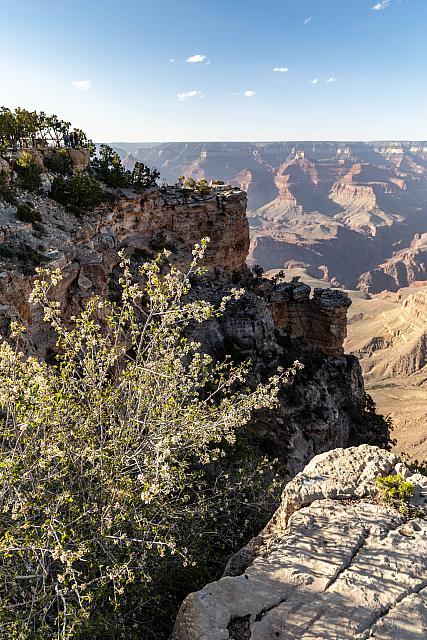 GrandCanyon5D-88