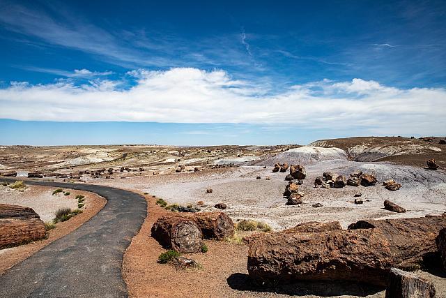 PaintedDesert-PetrifiedForrrestNp5D-59