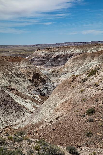 PaintedDesert-PetrifiedForrrestNp5D-93