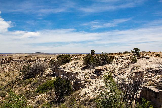 PaintedDesert-PetrifiedForrrestNpJenny-17