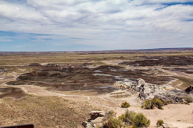PaintedDesert-PetrifiedForrrestNpJenny-46