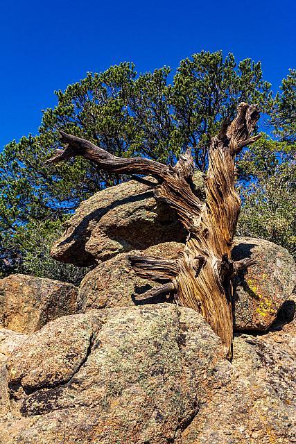 BlackcanyonNP-20