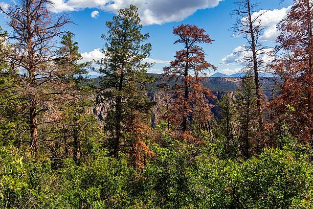 BlackcanyonNP-27