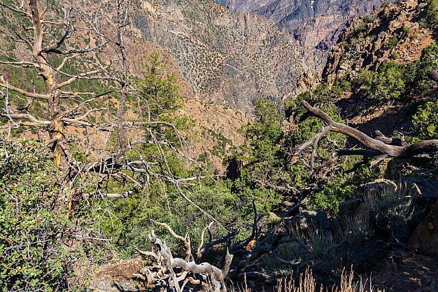 BlackcanyonNP-30