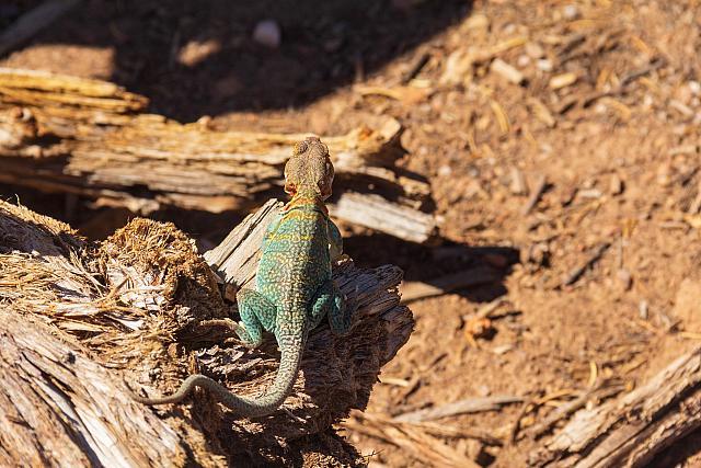 BlackcanyonNP-43