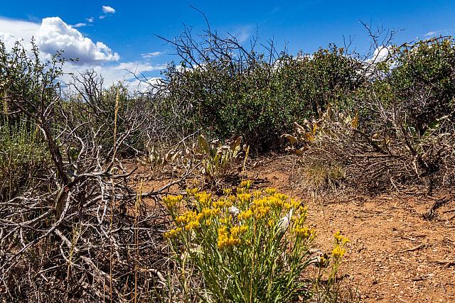 BlackcanyonNP-48