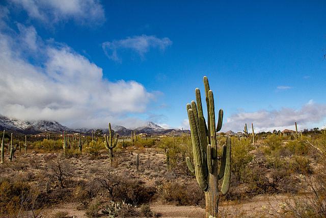 TucsonSnow-2