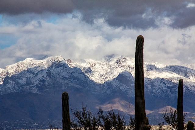 TucsonSnow-8