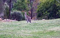 Mt-Stromlo