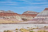 PaintedDesert-PetrifiedForrrestNpJenny-117